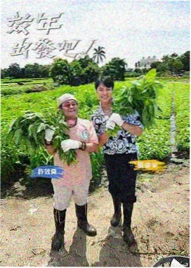 CK免费影视大全 哈哈哈哈哈
