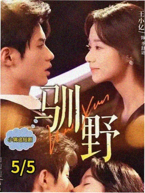 CK免费影视大全 漫长的季节